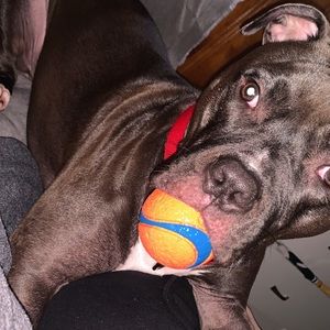 Meet your Posher, Jasmin